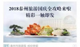江苏最新爆料新闻报道,揭秘重大事件背后的真相