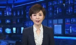 欧阳夏丹最新爆料新闻联播,新闻联播最新爆料背后的故事