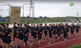 吉林市警察爆料视频最新,揭露警界内幕，真相令人震惊