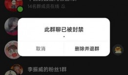 杜导最新爆料视频播放,幕后故事与精彩瞬间