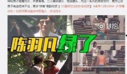 原神七国爆料视频大全最新,揭秘神秘世界与角色风采