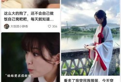 快手最新消息爆料视频,最新视频揭秘热门事件幕后真相