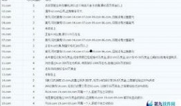 域名执行最新爆料,域名背后的惊人真相
