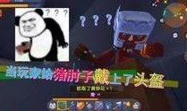 小宇家族最新爆料视频大全,揭秘家族幕后故事