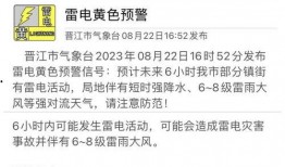 航海热线最新爆料8月,揭秘最新航行动态与重大事件